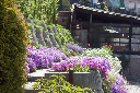CRW_9314.jpg