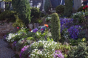 CRW_9315.jpg
