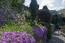 CRW_9320.jpg