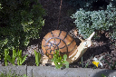 CRW_9325.jpg