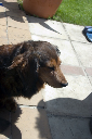 CRW_0069.jpg