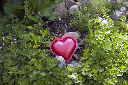 CRW_0078.jpg
