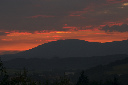 CRW_5595.jpg