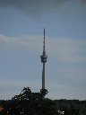 IMG_4335.JPG