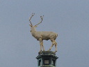 IMG_4383.JPG