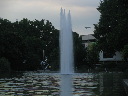 IMG_4385.JPG