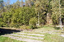 DSC05446.JPG