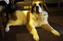 DSC05546.JPG