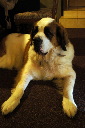 DSC05548.JPG